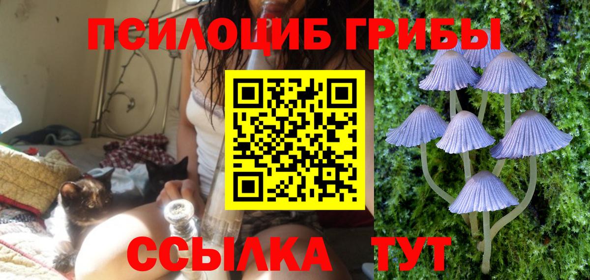 Галлюциногенные грибы Psilocybe  Вход с VPN  Рыбинск  где купить наркоту  Псилоцибиновые грибы мухоморы 
